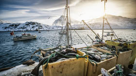 Russia bars UK fleet from vital fishing grounds