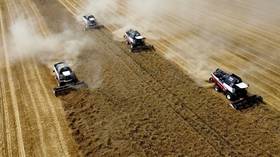 EU preparing tariffs on Russian grain – FT