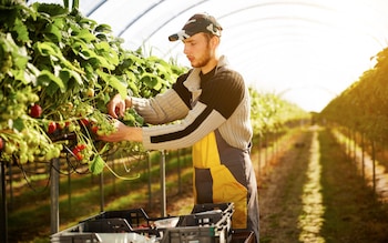 UK firms can no longer rely on cheap foreign labour, says James Cleverly