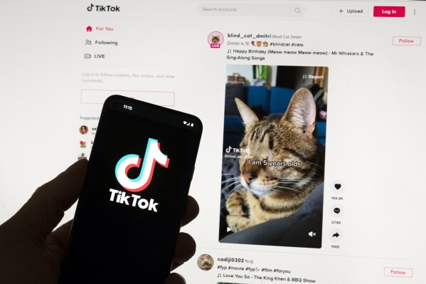 European Union questions TikTok on new app that pays users for watching