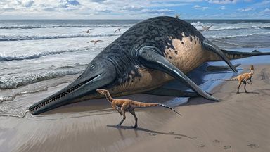 British father and daughter discover bone of what may be largest known marine reptile