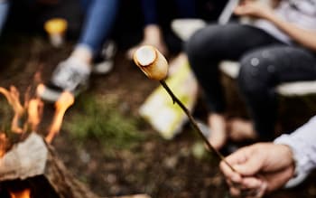 Big marshmallows are not sweets, rules judge