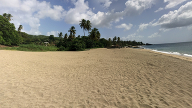 British tourist attacked by shark in Trinidad and Tobago