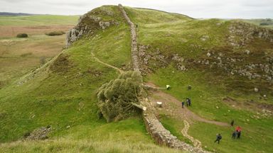 Two men charged over felling of Sycamore Gap tree