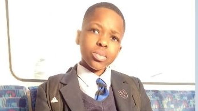 Hainault stabbings: Schoolboy victim Daniel Anjorin, 14, pictured