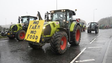 Rollout of controversial new subsidy scheme for farmers in Wales delayed