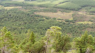 NatureScot photography project reveals scale of habitat restoration at Highland nature reserves