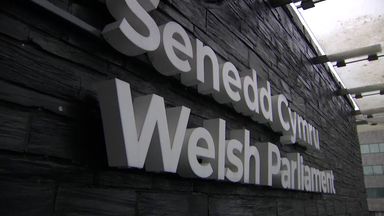 Gender quotas in Welsh Senedd elections could lead to legal challenges - report