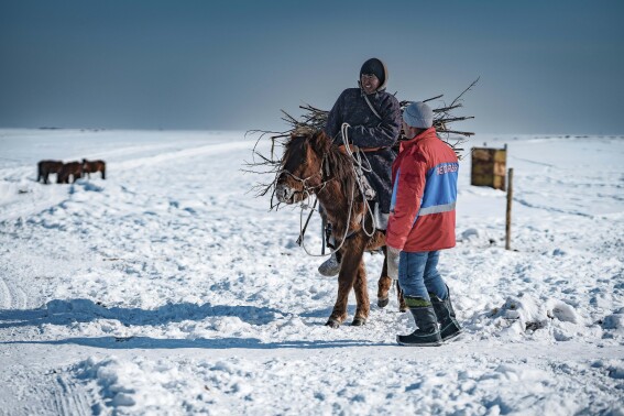 Heavy snows and drought of deadly ‘dzud’ kill more than 7 million head of livestock in Mongolia