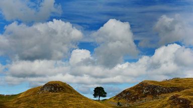 Second man denies felling Sycamore Gap tree and damaging Hadrian's Wall