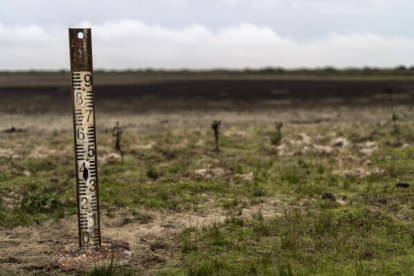 Landmark EU nature restoration plan gets the green light despite months of protests by farmers