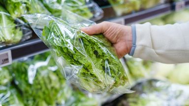 E-coli: Lettuce believed to be source of outbreak - so how safe is it to eat food item? And does washing reduce risk?