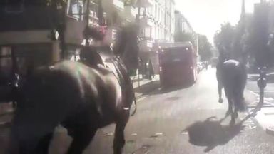 Three military horses bolt and run through London, causing chaos on roads after losing riders