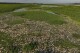 Tons of dead fish cover major Sao Paulo river after alleged dumping of industrial waste