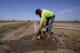 A plan to replenish the Colorado River could mean dry alfalfa fields. And many farmers are for it