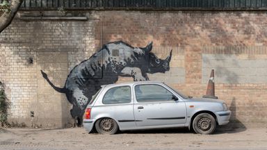 Banksy unveils yet another mystery animal mural