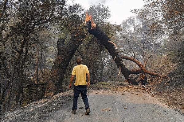 Wildfires are growing under climate change, and their smoke threatens farmworkers, study says