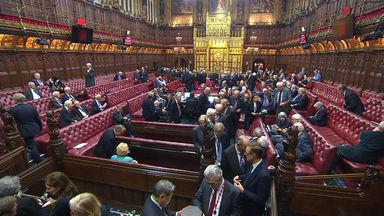 Hereditary peers to be removed from House of Lords - but there might be a way back for them