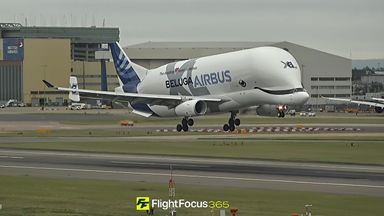 Airbus Beluga lands at London's Heathrow Airport