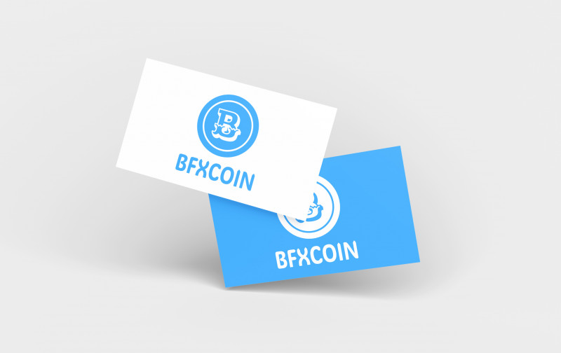 BFXCOIN: Why Bitcoin is a viable medium of exchange?