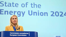 EU acknowledges its members still rely on Russian gas